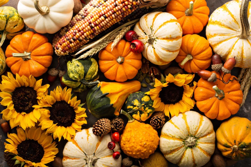 harvest Festival